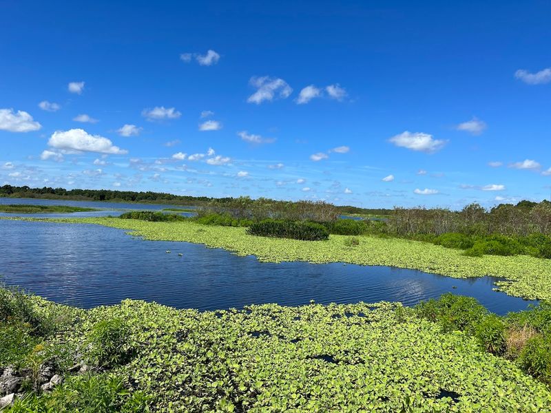 Circle B Bar Reserve Trails (Lakeland)
