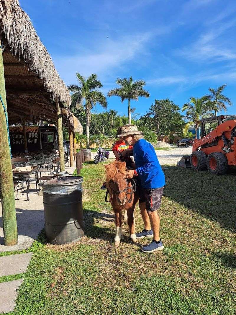 Farm Animals Adding Country Charm