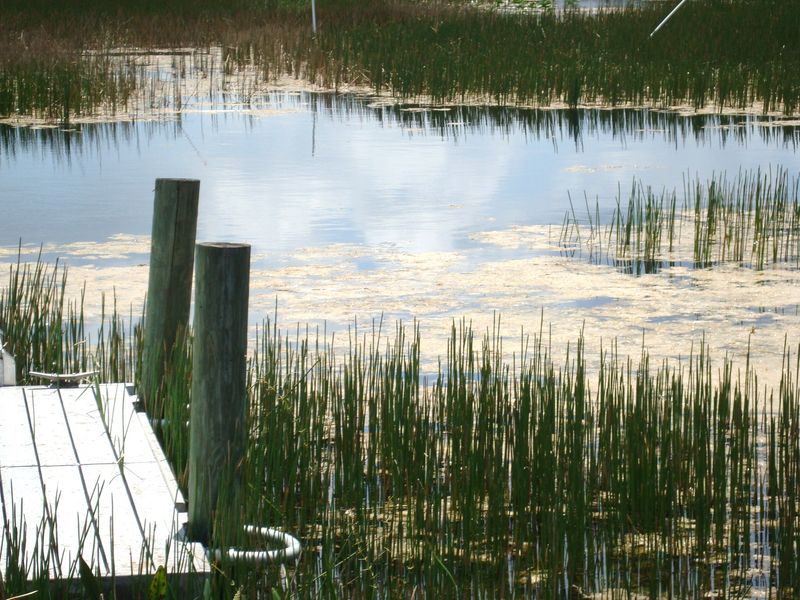 Protected Natural Areas Within Urban Sprawl