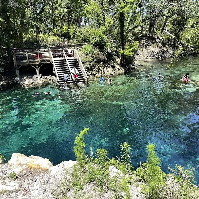 Madison Blue Spring State Park (Lee)