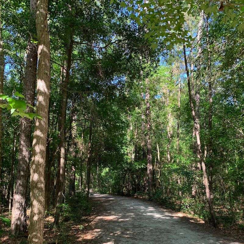Miccosukee Road Canopy Drive (Tallahassee)