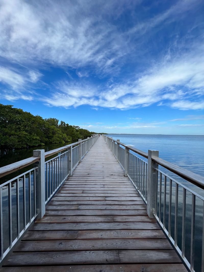 Biscayne National Park's Underwater Wonderland Nearby