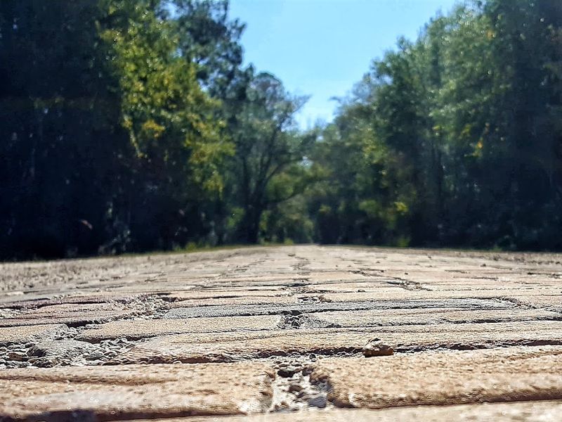 Why This Road Still Matters to Florida History Enthusiasts