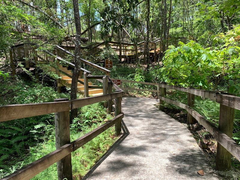 Sinkhole Trail at Falling Waters State Park