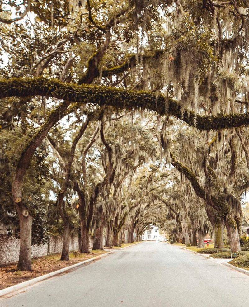 Seasonal Changes That Keep It Fresh