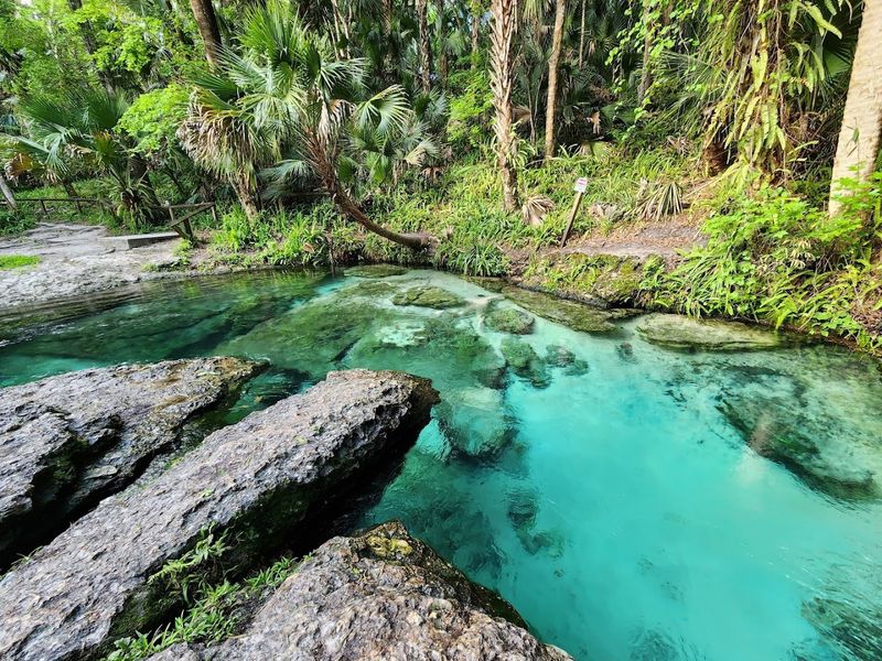 The Magic of Rock Springs Run