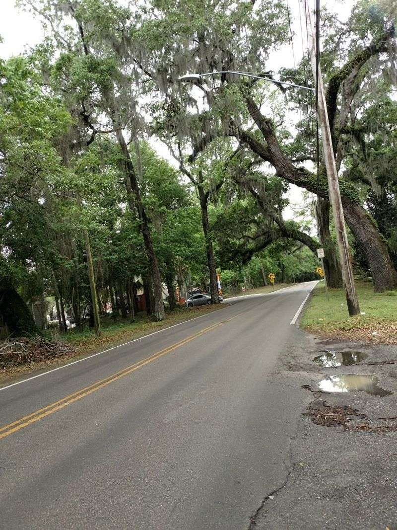 Old St. Augustine Road (Tallahassee)