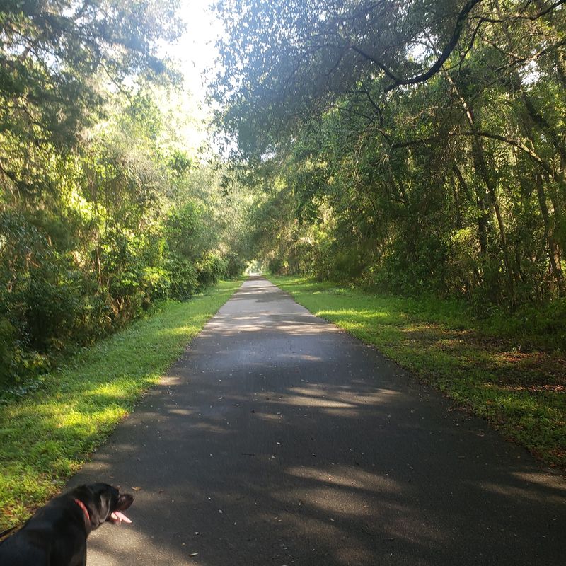 A Smooth, Paved Surface That Goes the Distance