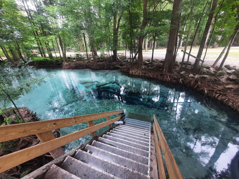 Ginnie Springs: Your New Favorite Swimming Hole