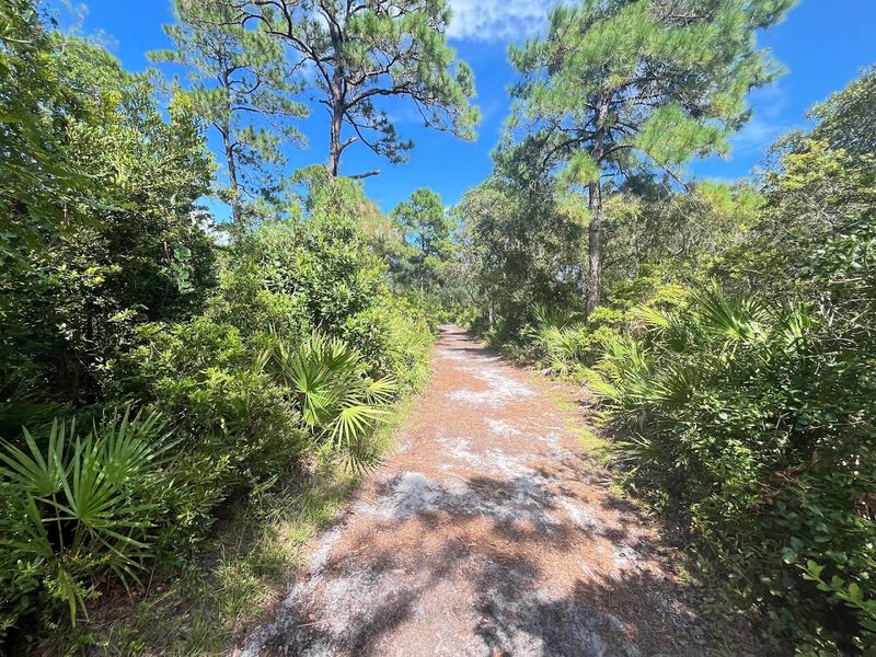 A Peaceful Half-Mile Nature Trail Through Hammock Forest