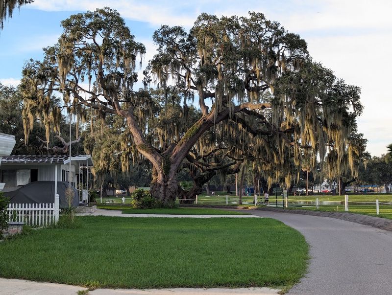 Why Zephyrhills Keeps Housing Costs Low