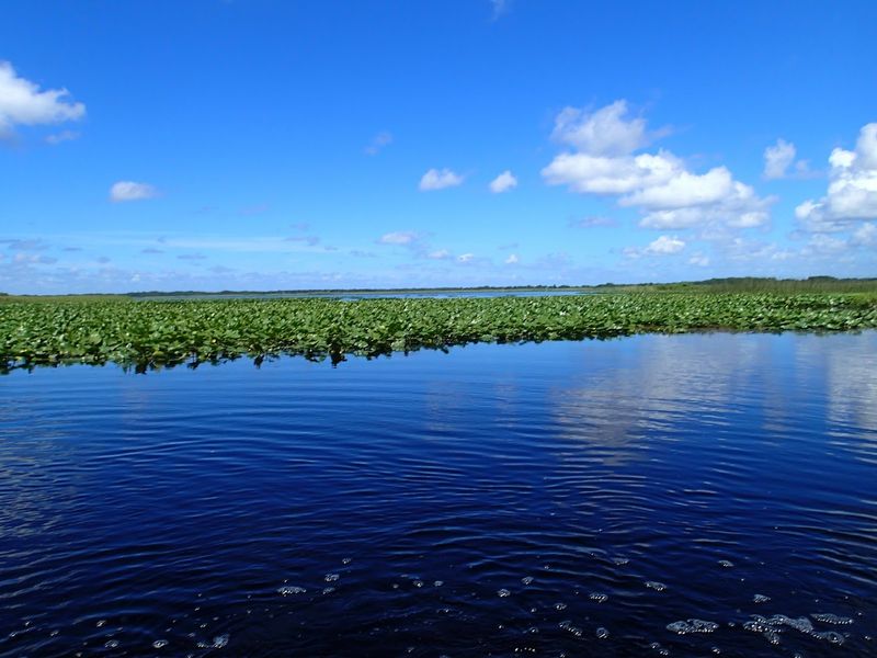 Lake Kissimmee