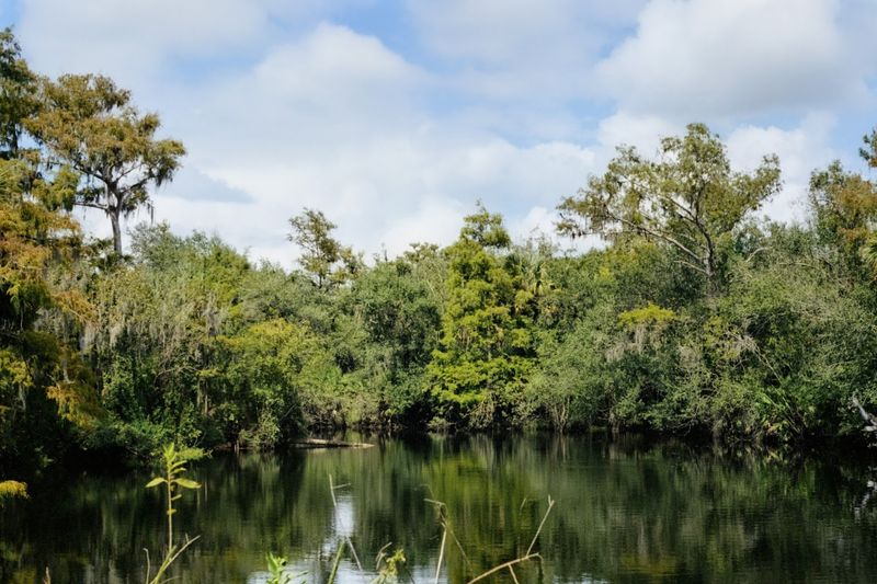 Horse Creek (Arcadia)