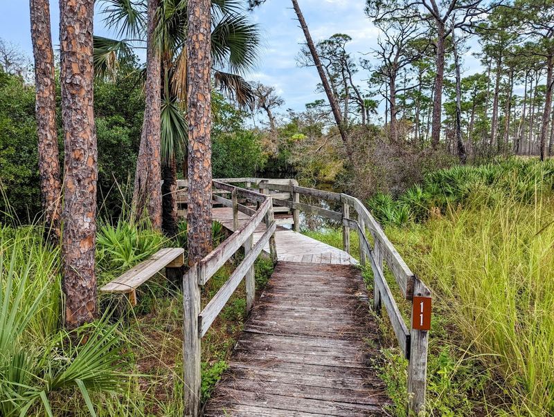 Kitching Creek Nature Trail (Jonathan Dickinson State Park)