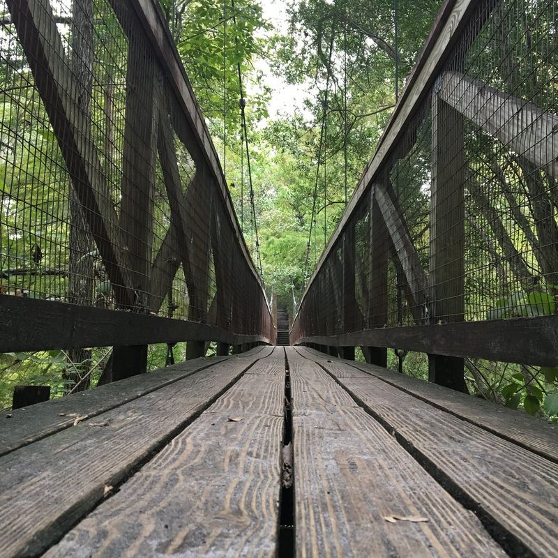 Ravine Loop Trail at Ravine Gardens State Park