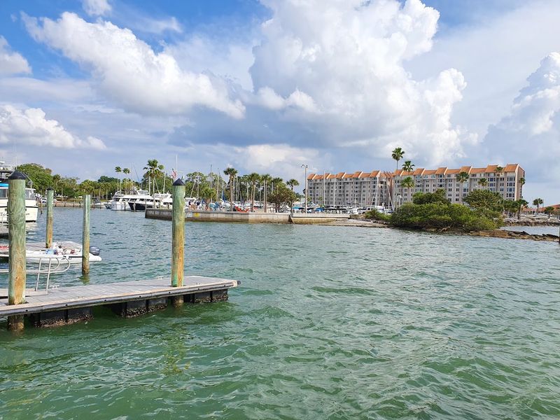 Affordable Waterfront Dining with Gulf Views