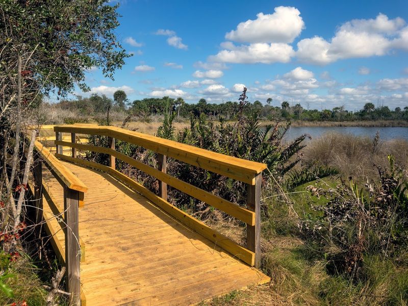 Estero Bay Preserve State Park (Fort Myers)