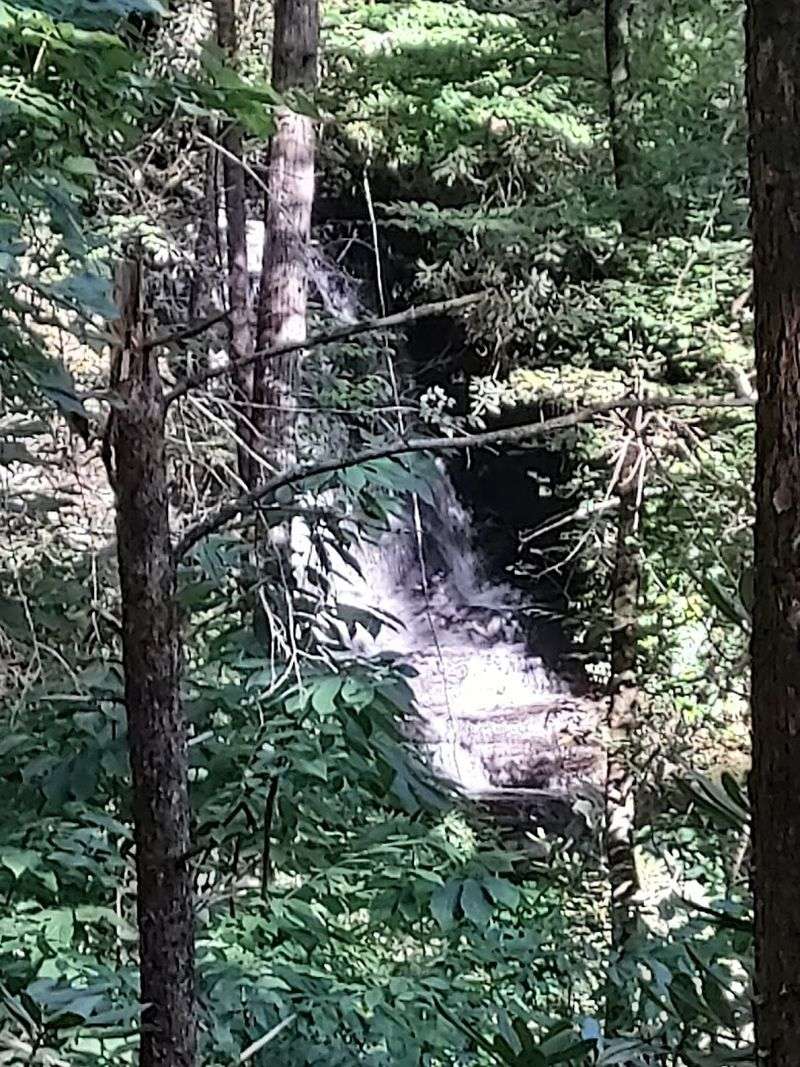 Camp Branch Falls (Near Marianna - seasonal)
