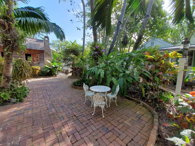 Gardens That Feel Like Your Own Private Jungle