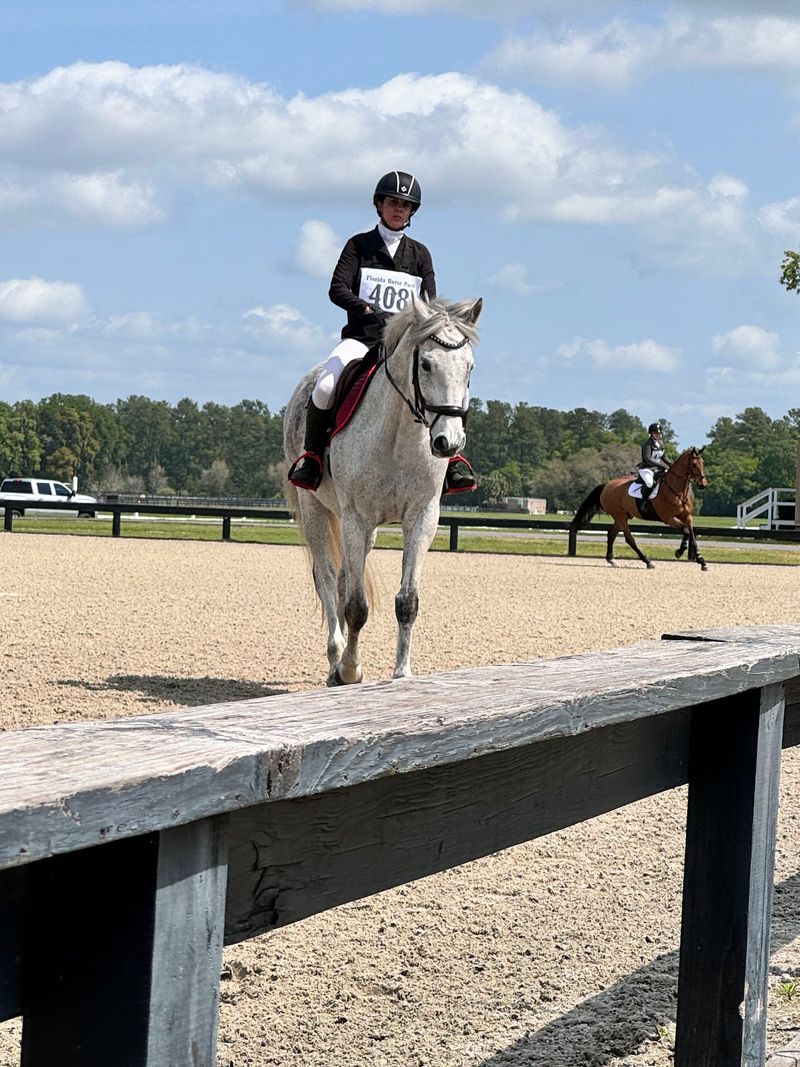 Florida Horse Park