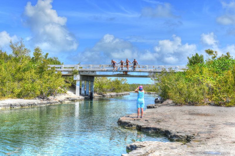 The Famous Jumping Bridge Adventure