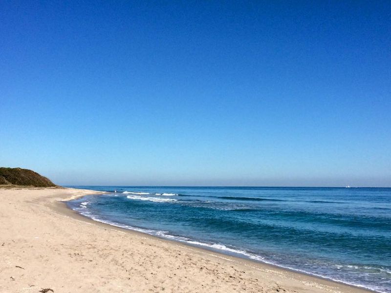 Boardwalk To Beach Trail (John D. MacArthur Beach State Park/North Palm Beach)
