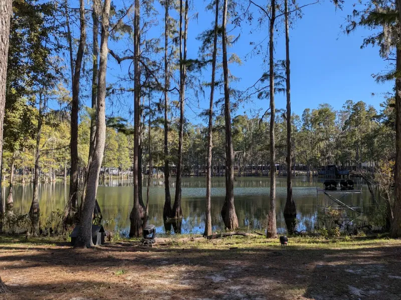 Riverside Swimming And Beach Access On The Suwannee
