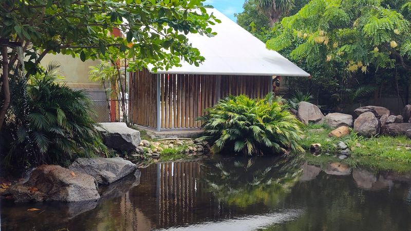 The Meditative, Zen-Like Atmosphere That Keeps People Coming Back