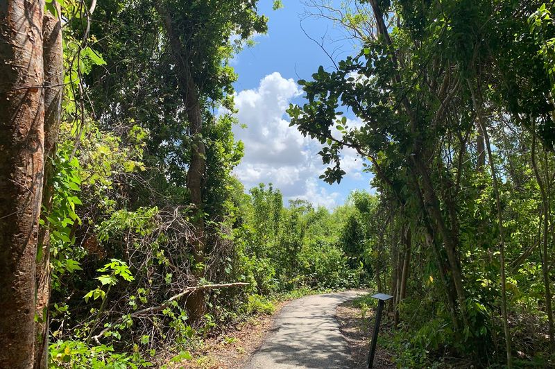Anhinga Trail (Everglades National Park)
