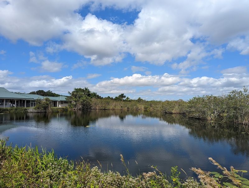 8 Short Florida Trails With Surprisingly Incredible Views