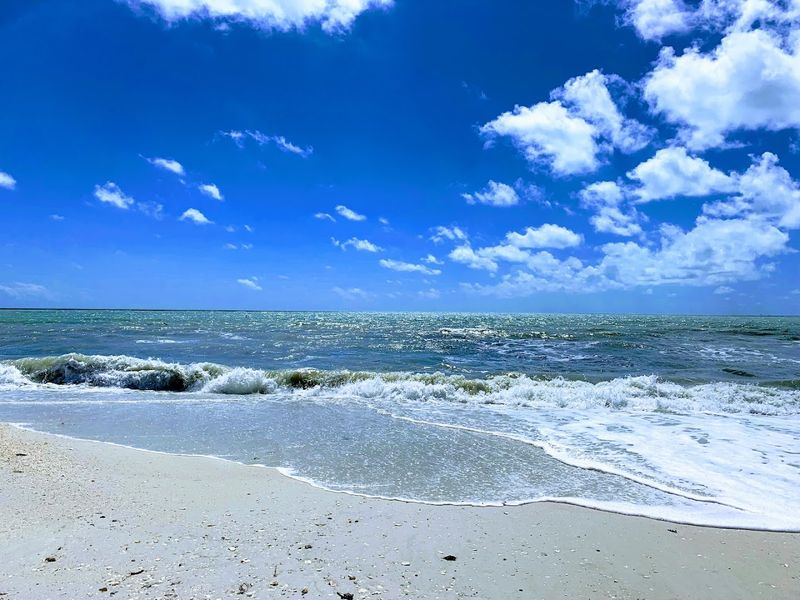 Bonita Beach Park: Classic Gulf Coast Beauty