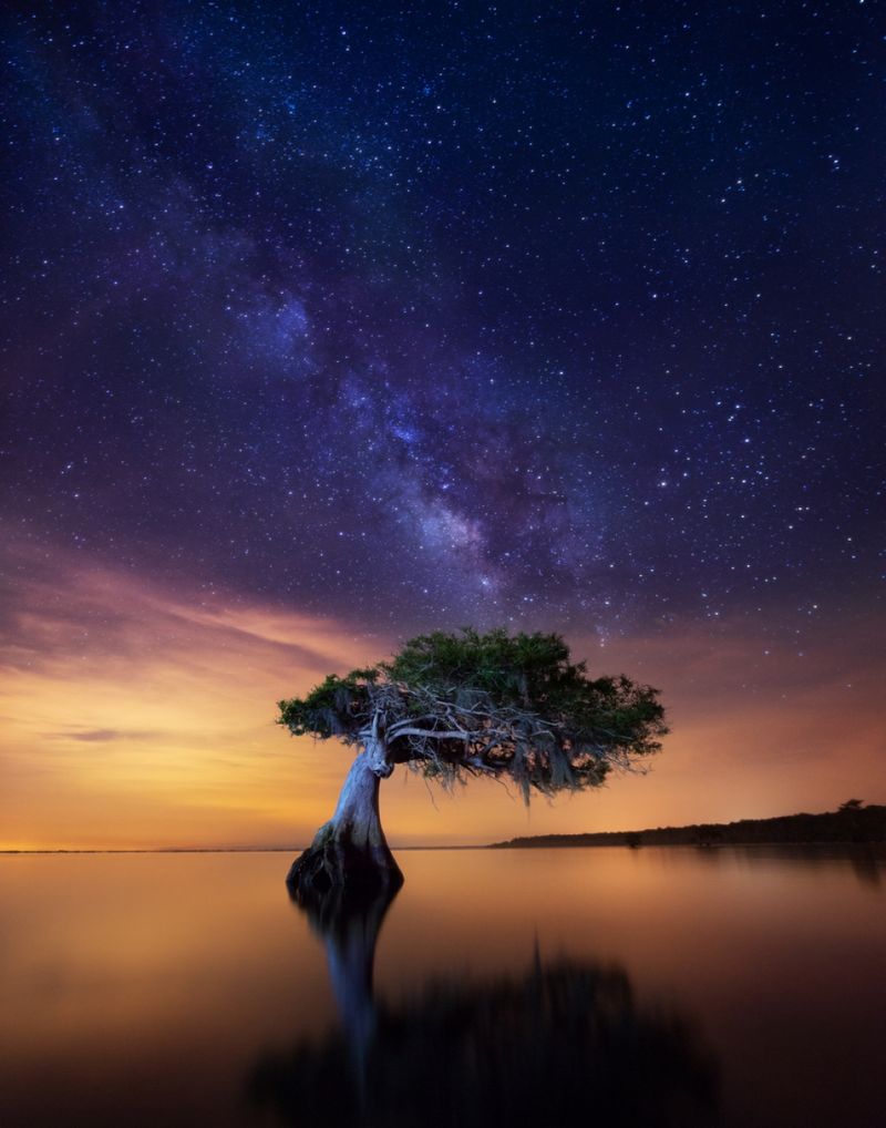 Bioluminescent Waters in Certain Seasons