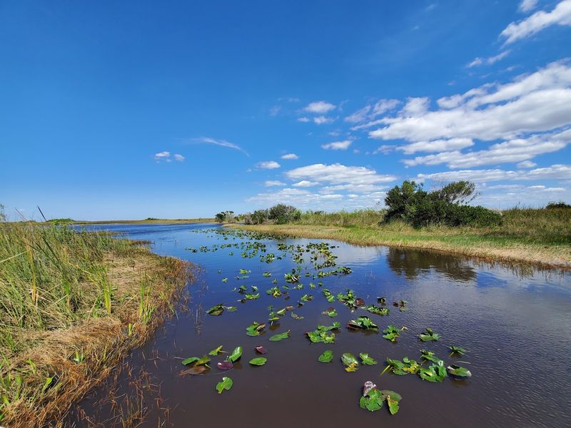 Everglades Safari Park (Miami/Everglades National Park area)