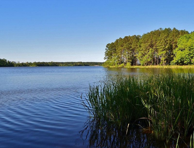 Fishing Tournaments Draw Serious Anglers
