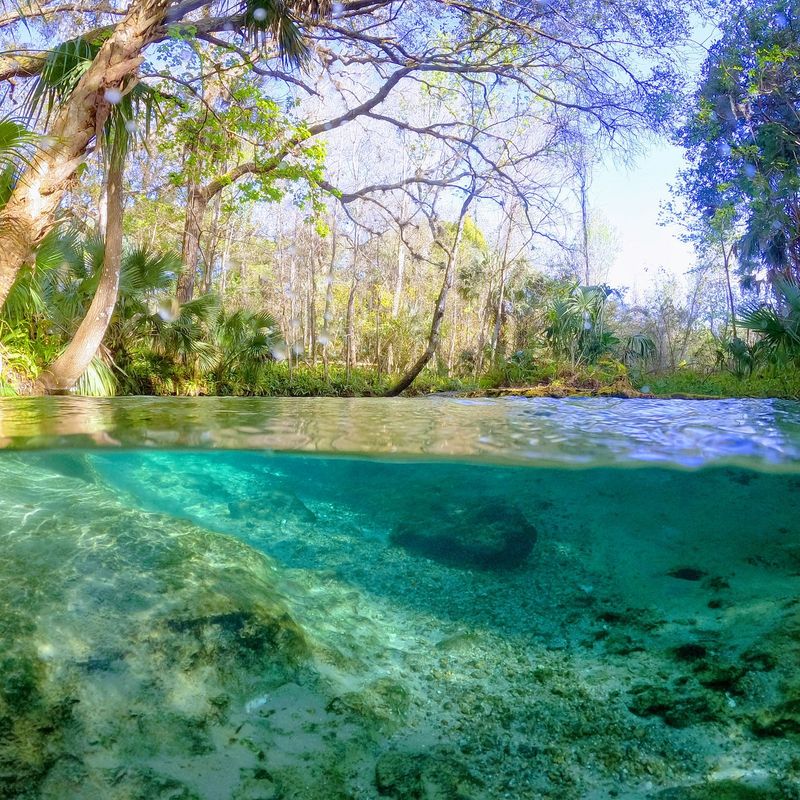 Rock Springs at Kelly Park (Apopka)