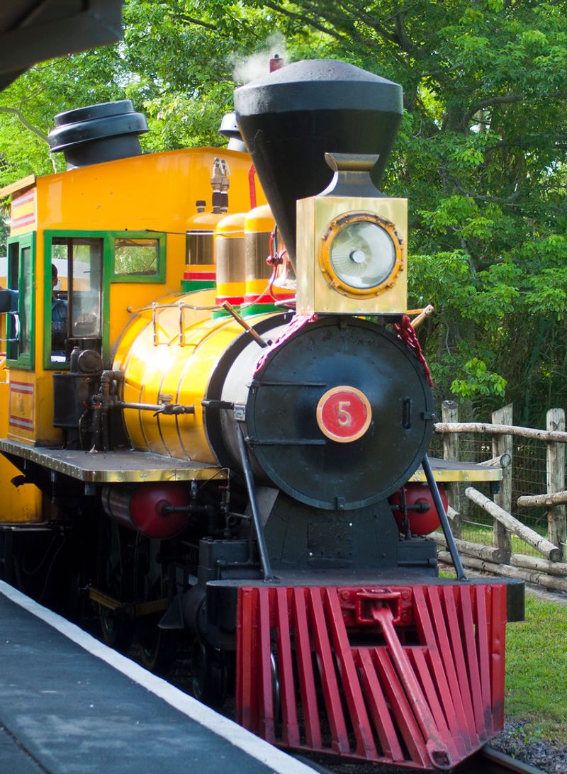 Serengeti Express Train