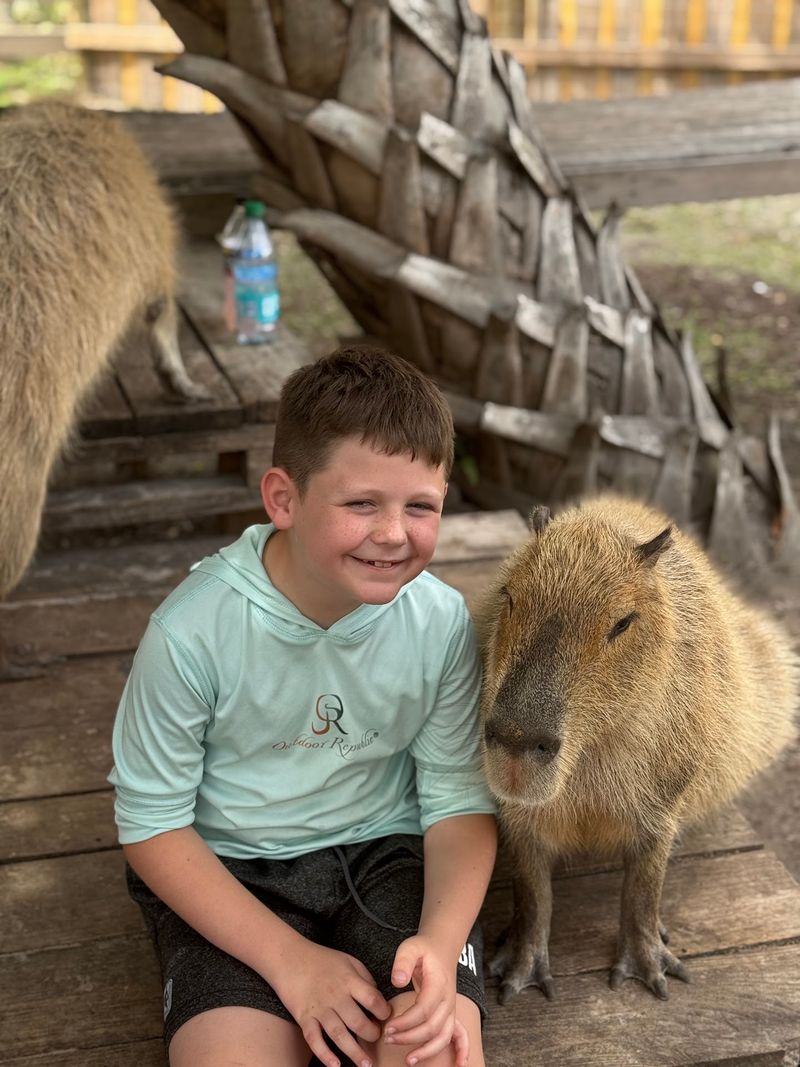 A Gift Shop Stocked With Souvenirs Your Kids Will Actually Want