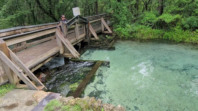 Ponce de Leon Springs (Ponce de Leon)