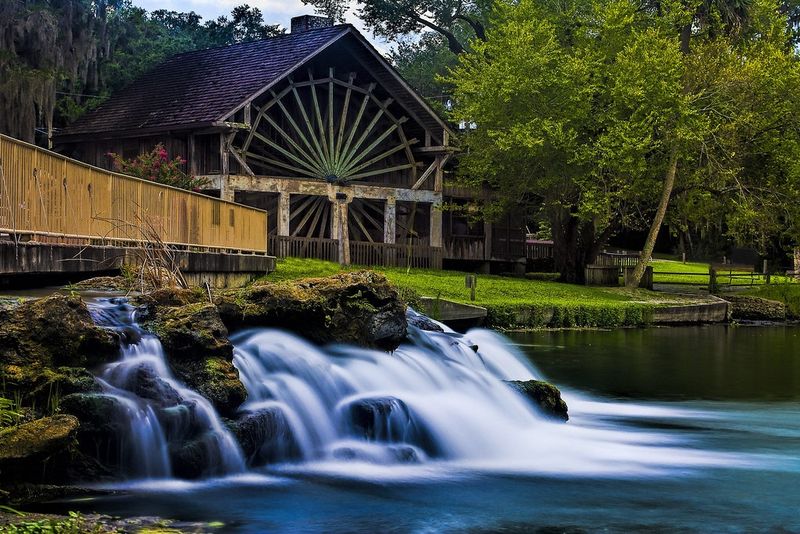 De Leon Springs: Pancakes You Cook Yourself