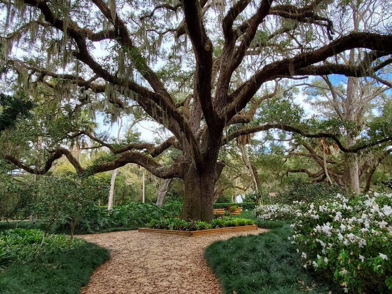 Washington Oaks Gardens State Park (Palm Coast)