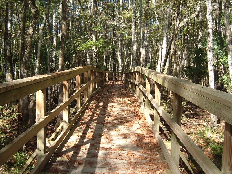 Cedar Key Scrub State Reserve