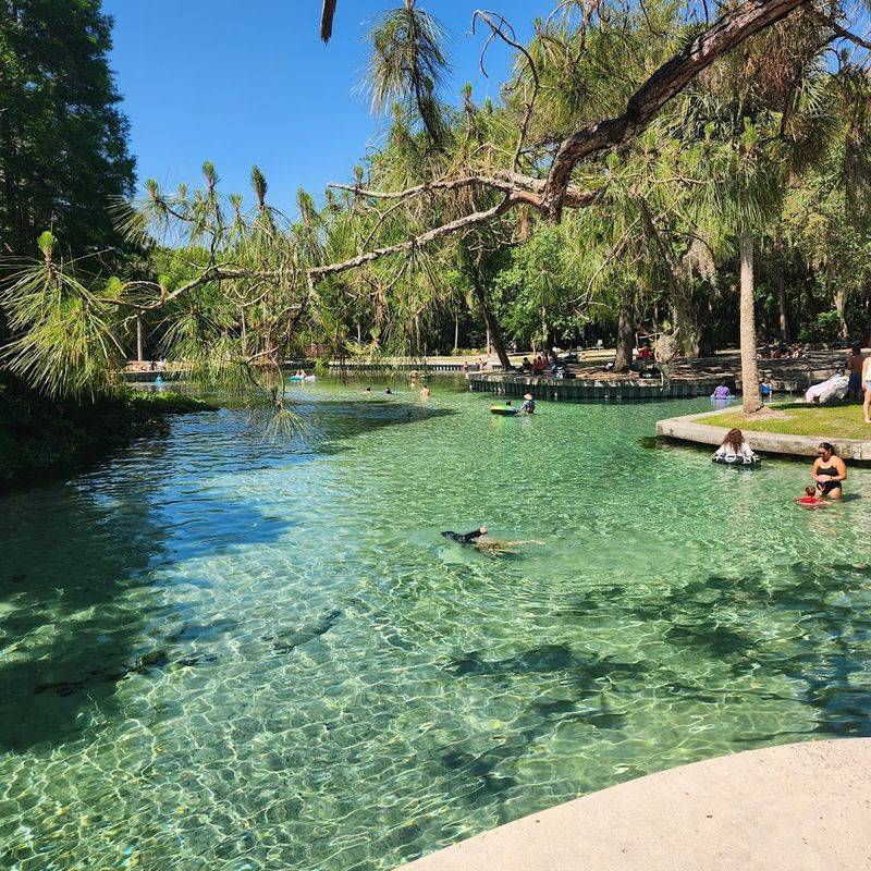 Kelly Park: More Than Just a Tubing Spot