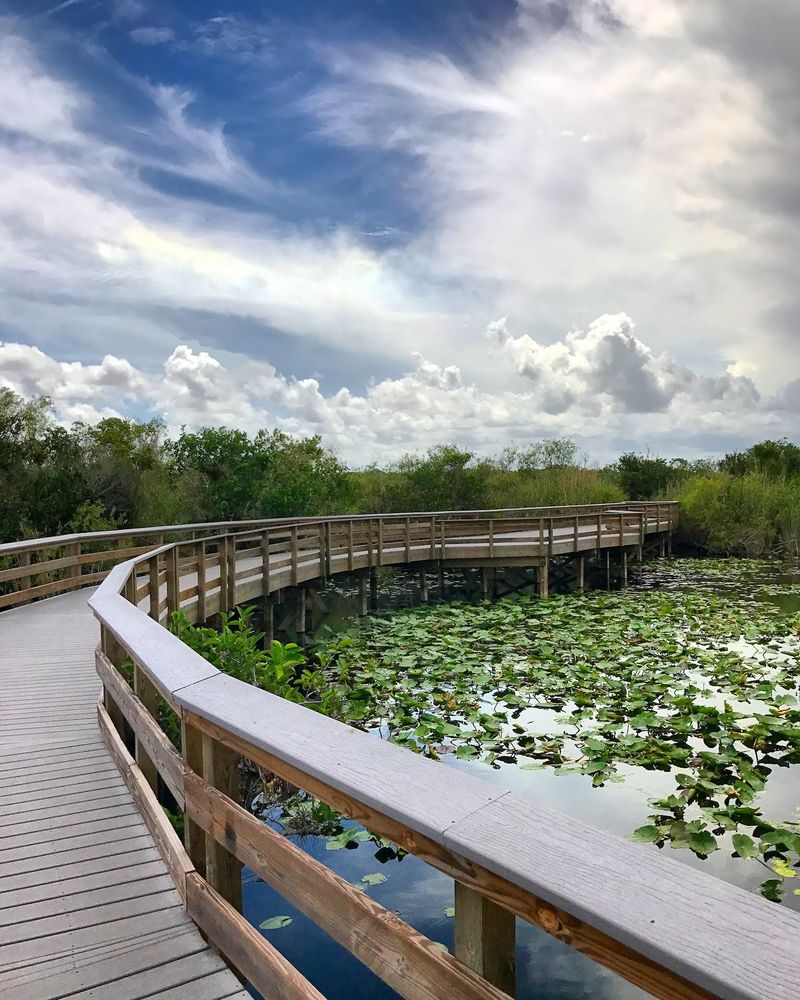 Everglades National Park Access Without the Crowds