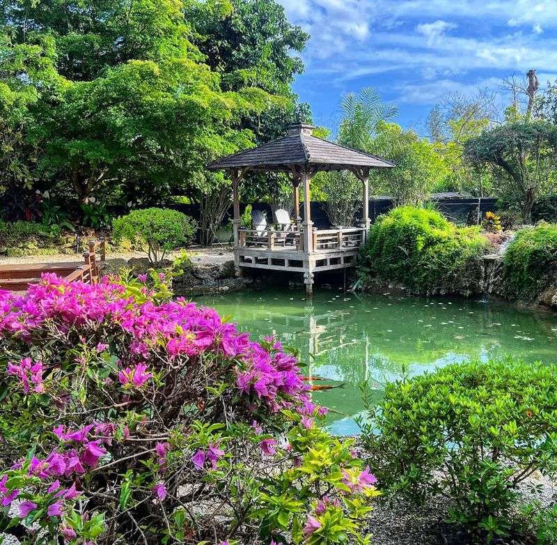 A Japanese Paradise Hiding in Plain Sight