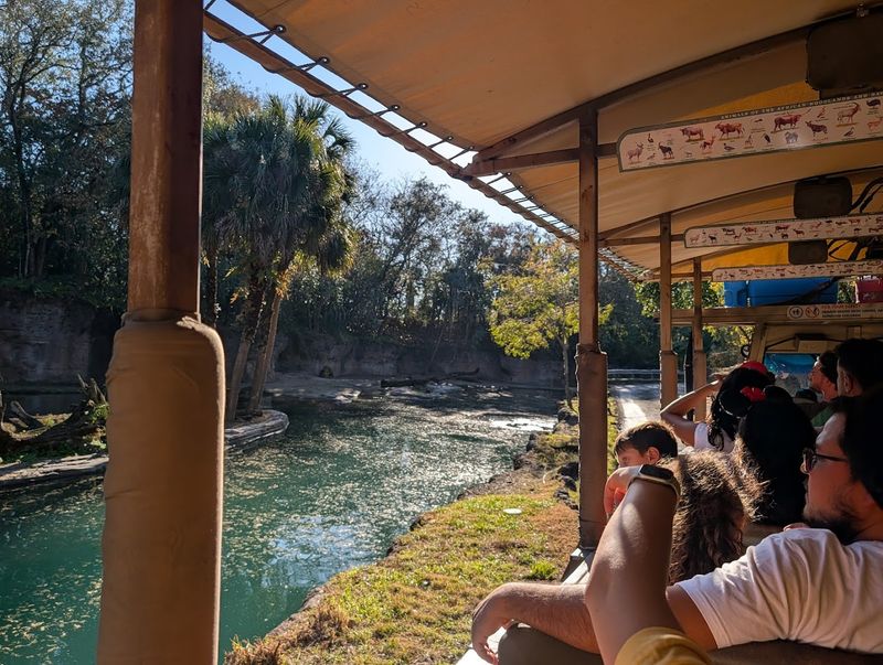 Exclusive Souvenirs and Lasting Memories