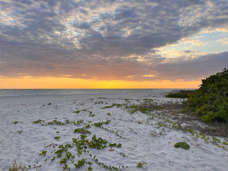 Stump Pass Beach State Park: A Treasure Hunter's Playground