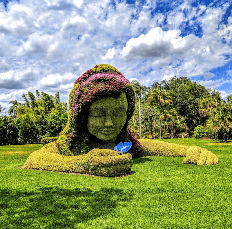 Seasonal Events at Busch Gardens Tampa Bay