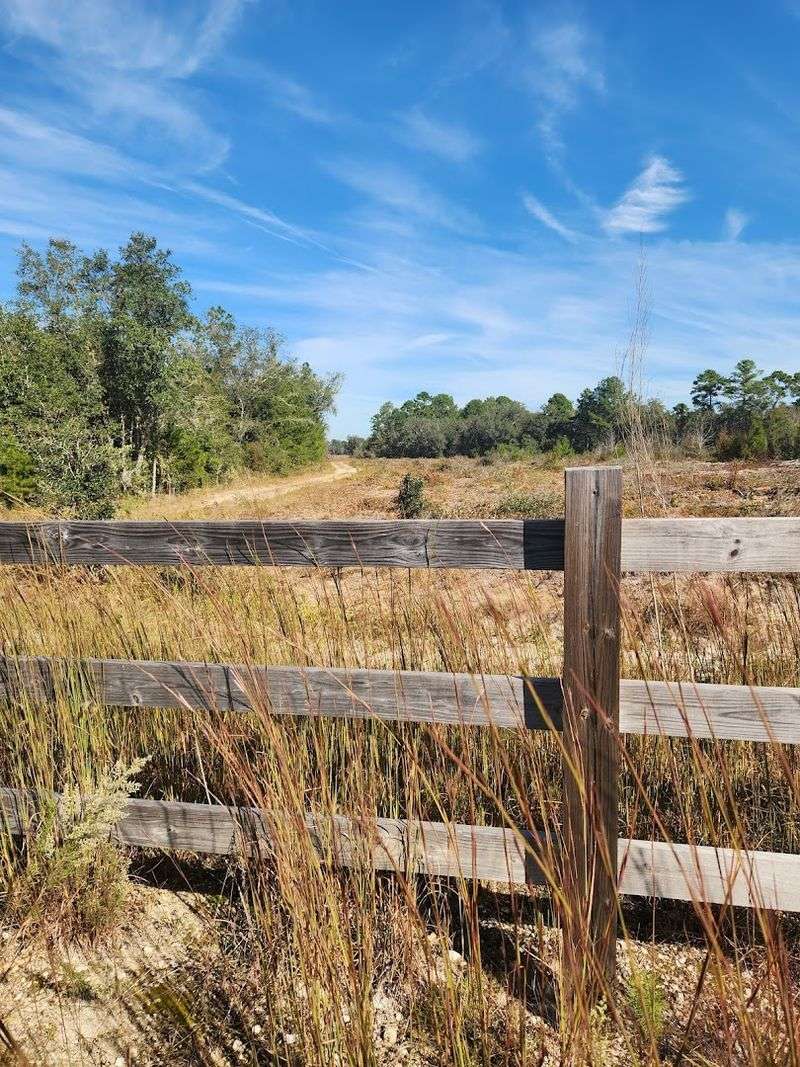 Scenic Picnic Spots Away from Typical Tourist Areas