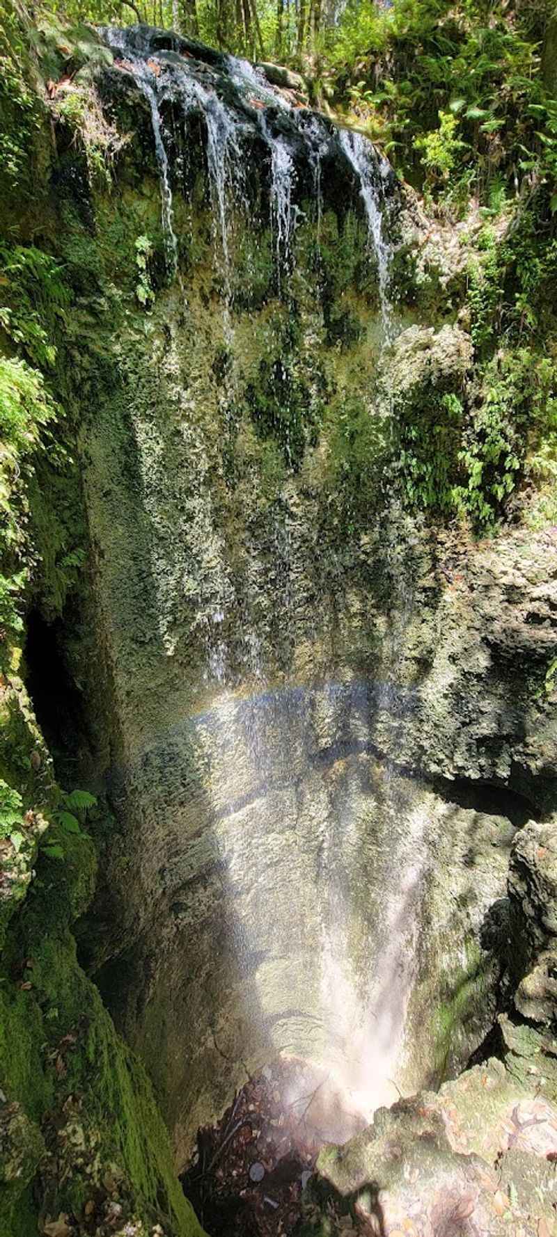 Falling Waters State Park — Chipley (Panhandle)