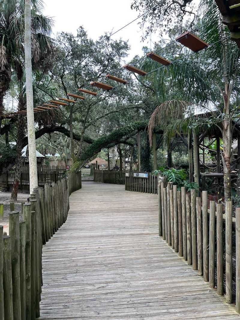 Get Your Adrenaline Fix on the Zipline Course